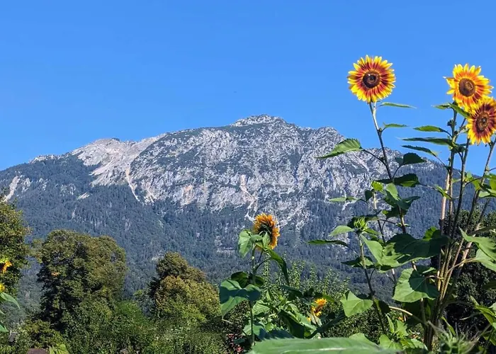Pur * Bad Reichenhall